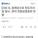 [2보] 北, 동해상으로 탄도미사일 발사…한미 연합공중훈련 반발 이미지