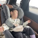 지에스(GS)25 강릉강문점 이미지