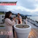 비고리조트 5 이미지