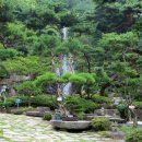 수목원 Daum카페