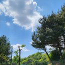 라비돌(주)