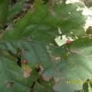 엄마랑유치원 이미지