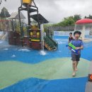 용인대 대호 태권도 이미지