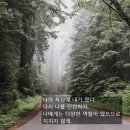 더아트펌주 이미지