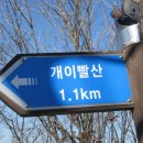 광덕3로5 이미지