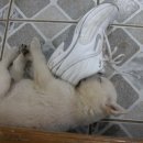 도개박골 이미지