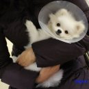 도희동물병원 이미지