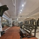 바이킹짐 이미지