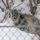 산양회관 이미지