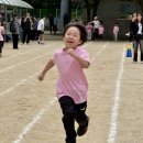 계명대꿈나무태권도장 | 5월, 우리 사랑이들의 즐거운 학교 운동회 🎉