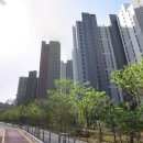 영덕레스피아 농구장 이미지