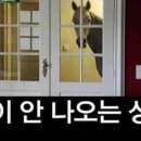 데이즈샌드위치 이미지