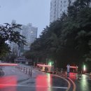 남산터미널 앞 | 서울 중구 남산타운 인천공항 택시 예약