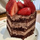 디저트힙 | 뚝섬역 케이크 맛집 터틀힙 성수 디저트 카페 후기