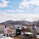 스테이안봉 이미지