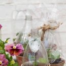 원경농장 이미지