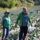 이순희농가 이미지