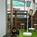 갸카페 이미지