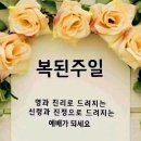 희망의메세지 이미지