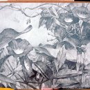 데생&수채화 이미지