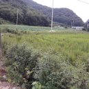 대소원면사무소 이미지