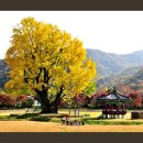 금산-10 이미지