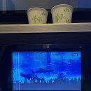 퍼펙트싱어 코인노래연습장 이미지