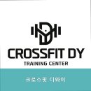 크로스핏디와이