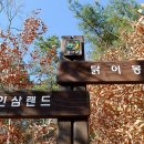 닭이봉 이미지