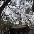 통도사 우담바라 주차장 후기