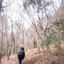 신흥사거리 - 팔호광장 | 서귀포 시내 가까운 제주 오름 추천 고근산