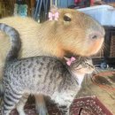 안경매니져(아라점) | 10月의 어느 멋진 날에☀️