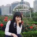 콜투 Daum카페