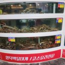 사계절 바다 맛집 이미지