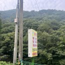 청강수계곡펜션 | 대전 근교 물놀이 청강수 계곡, 평상 수영장 식사까지 즐기기