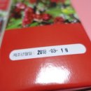 모정농원