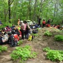 구룡령 옛길 이미지