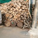 다시면행정복지센터 이미지