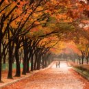 100억공인중개사사무소 이미지