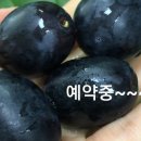 창봉농장 이미지