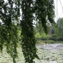 애견별장 이미지