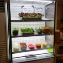 범안로266번길 이미지