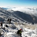 자연-이미지 이미지