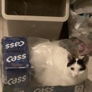 수현노래연습장 이미지