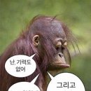 목리 이미지