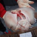 고하대로 672 ~672-1 Daum카페