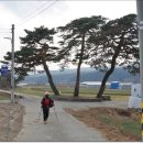 교가1리 이미지