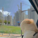 스테이 멍(STAY MUNG) 이미지