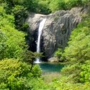 정원행정사 이미지