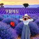 등짐 이미지